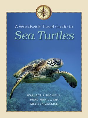 cover image of A Worldwide Travel Guide to Sea Turtles